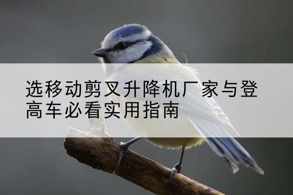 灌南电动升降机厂家-选移动剪叉升降机厂家与登高车必看实用指南