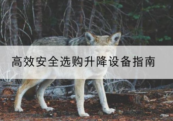 灌南升降货梯厂家推荐-*安全选购升降设备指南