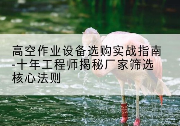 灌南剪叉式升降机厂家-高空作业设备选购实战指南-十年工程师揭秘厂家筛选核心法则